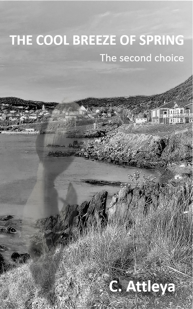 Cover of The second choice